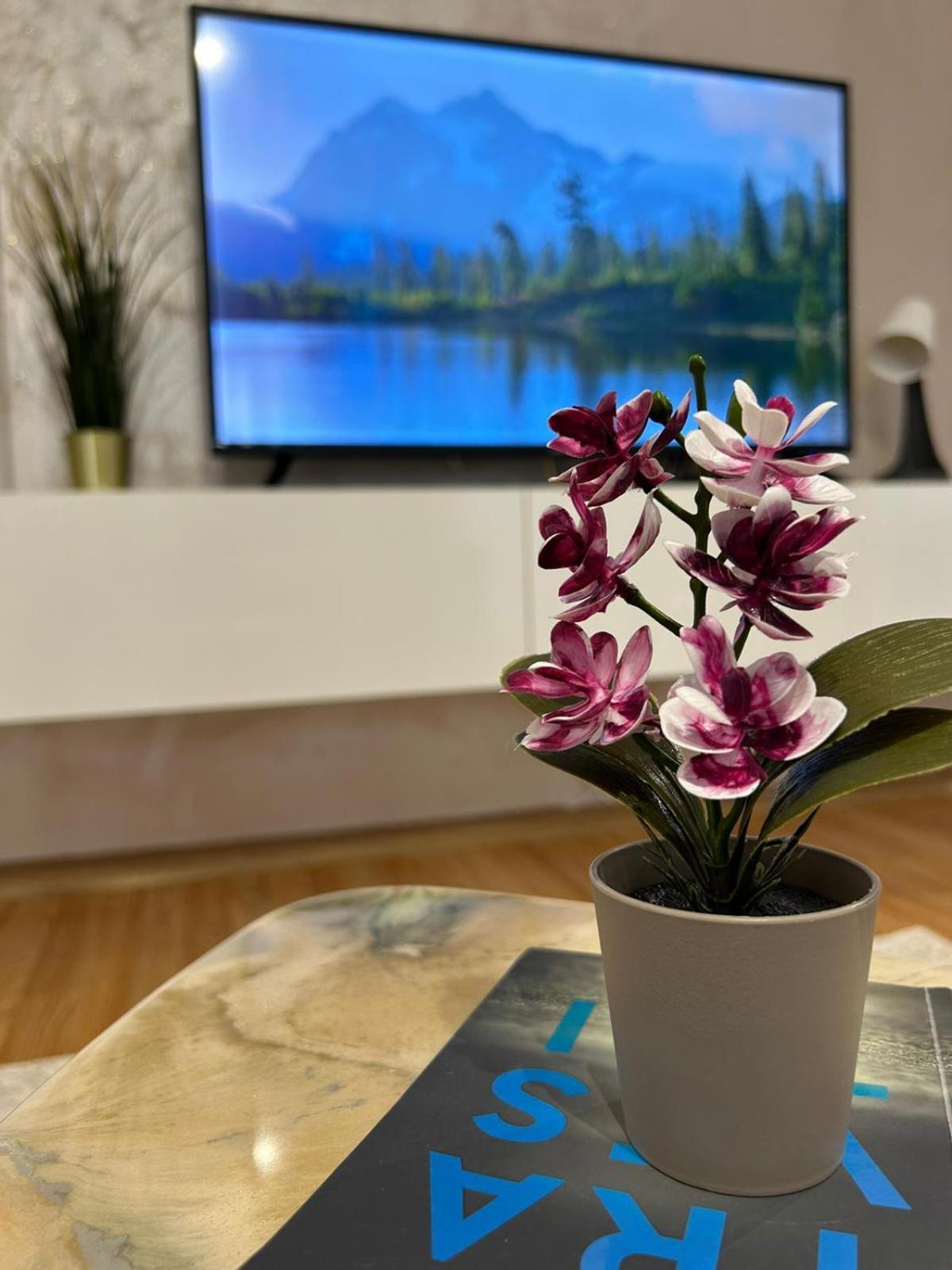 Luxury Studio Ploeszti Zewnętrze zdjęcie