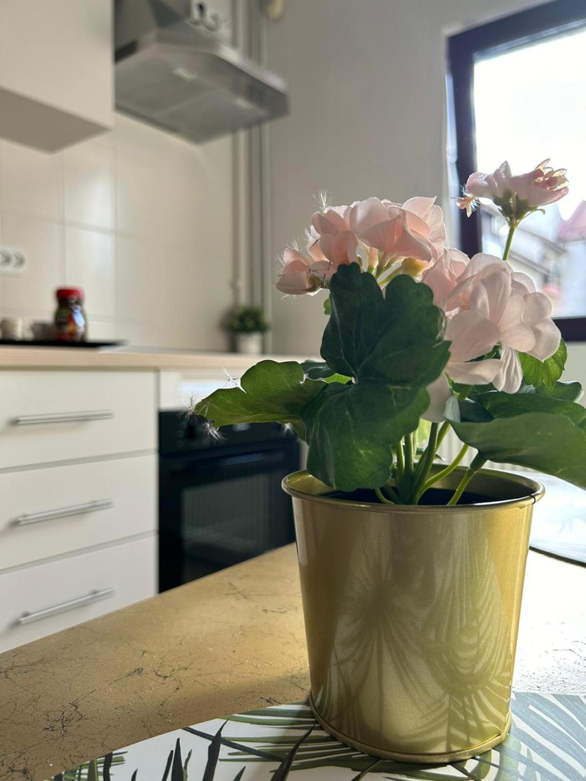 Luxury Studio Ploeszti Zewnętrze zdjęcie